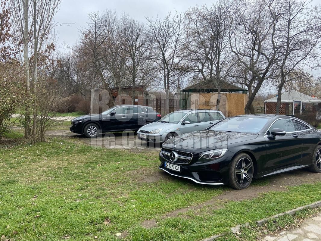 La Constanța, mașinile de lux ale ucrainenilor stau pe spațiul verde