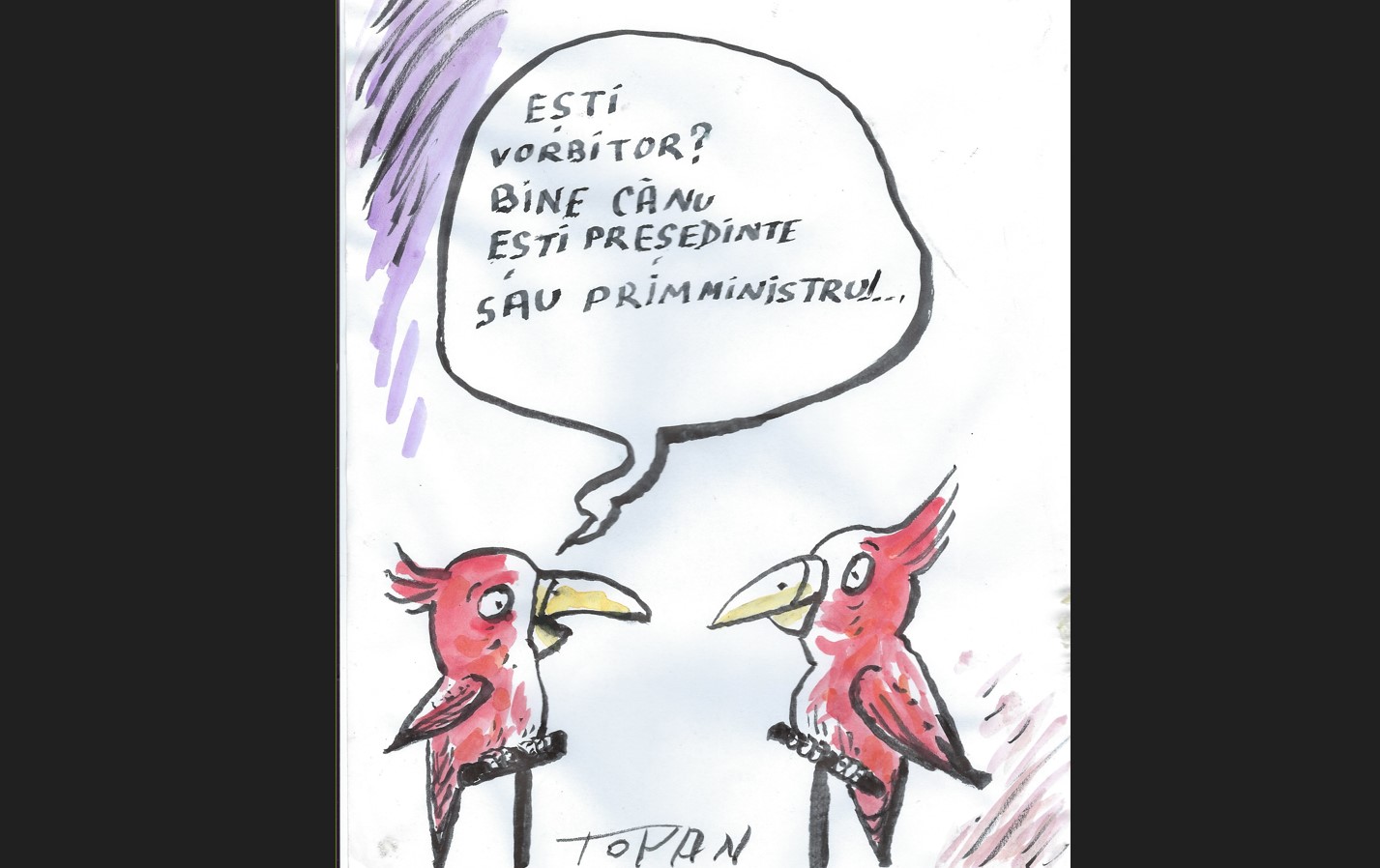 România lui Cristian Topan