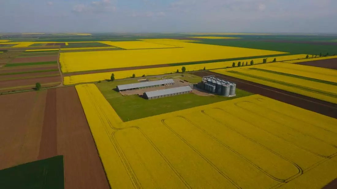 Danezii cumpără pământ în Dobrogea de la francezi