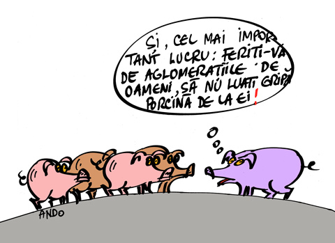Recomandare porcină