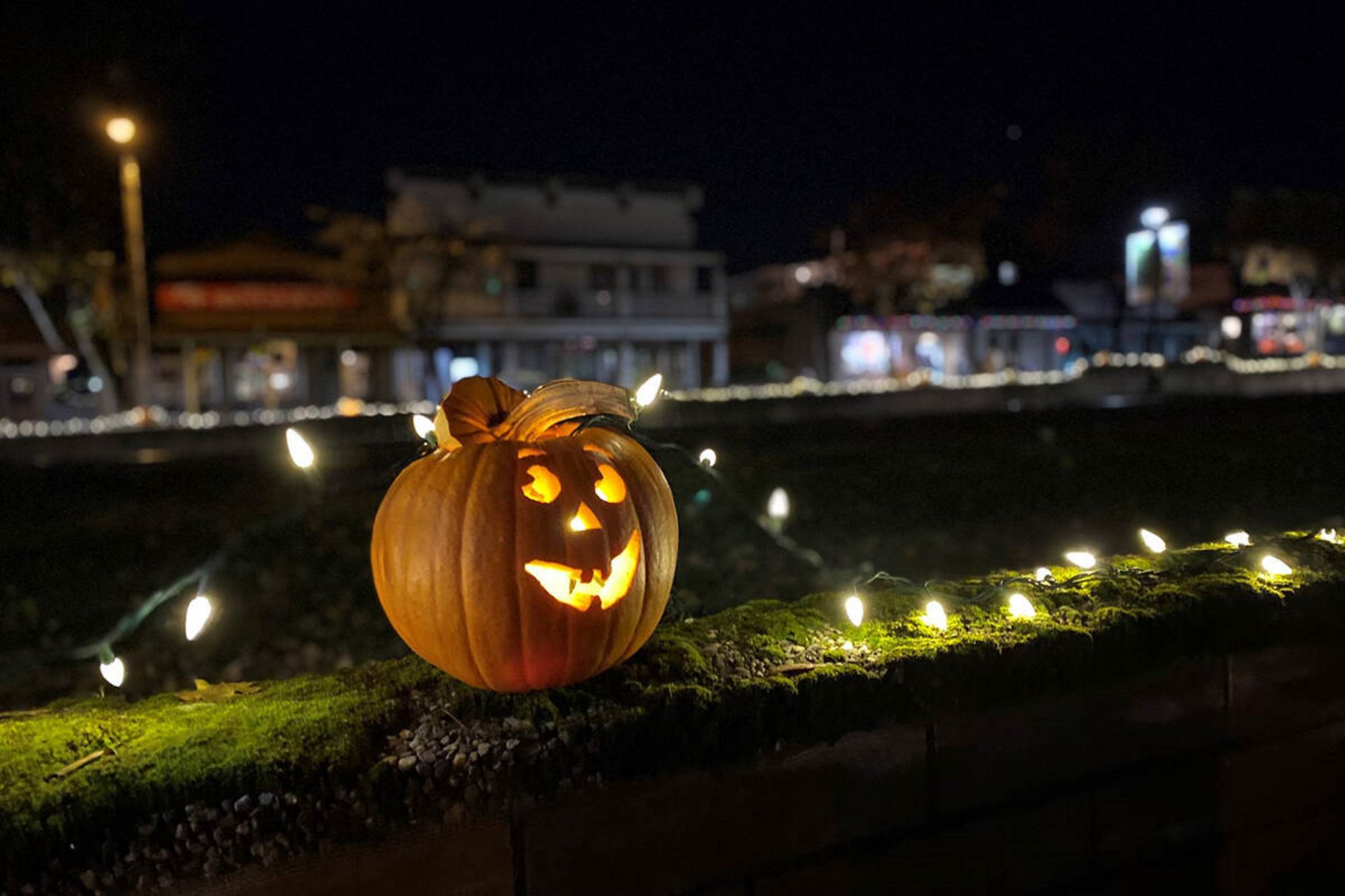 În zori, pe bulevardul Magheru, politica duduie în draci, să vezi dandana