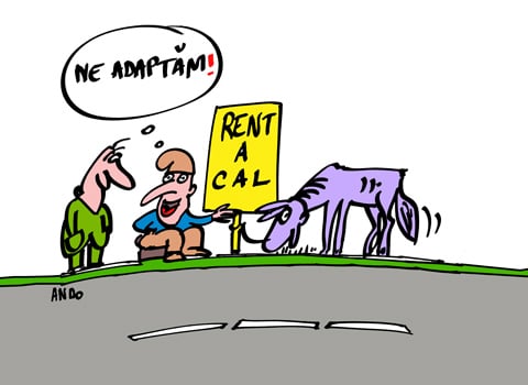 Modernizare
