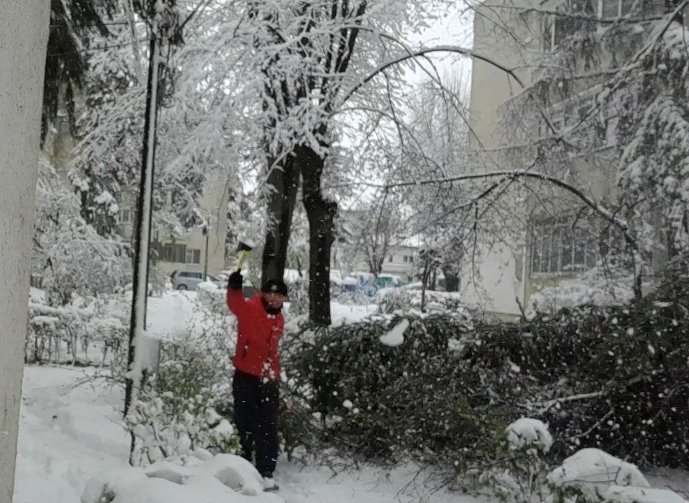 Am degajat drumul de unul singur, lăudăroșilor!