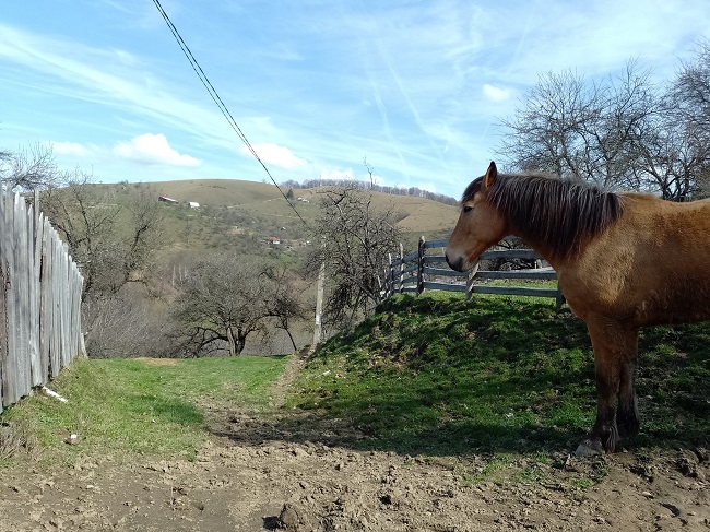 Stâlpii morților și cătunele care se încăpățânează să trăiască