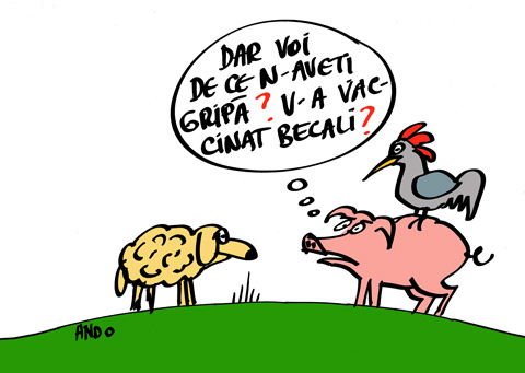 Dar gripa ovină?