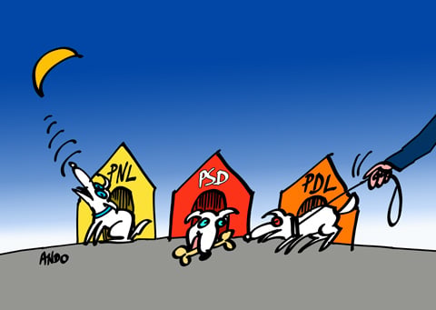 Comportament canin