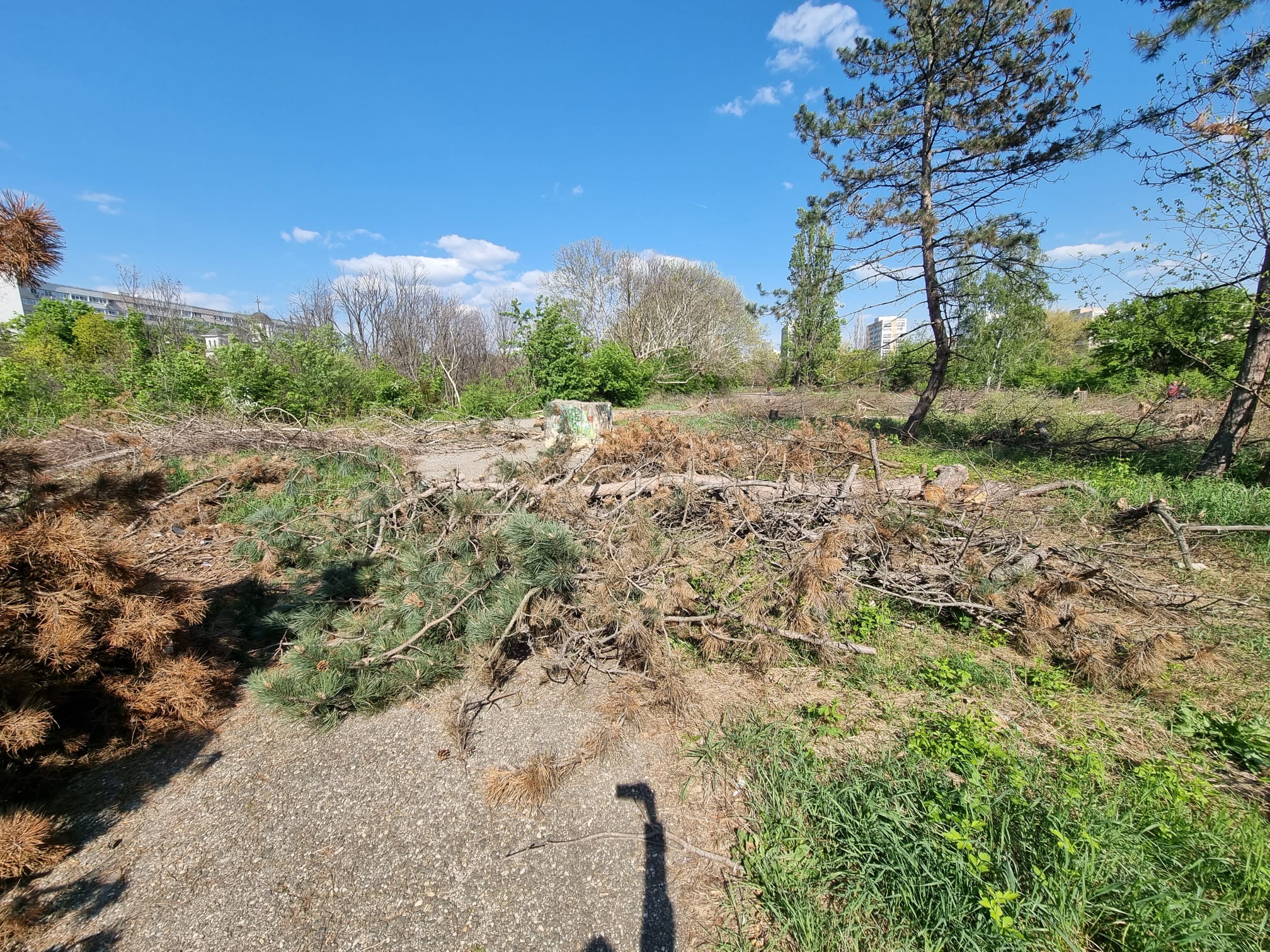 (FOTO) Viceprimar: Măcelărirea din IOR continuă