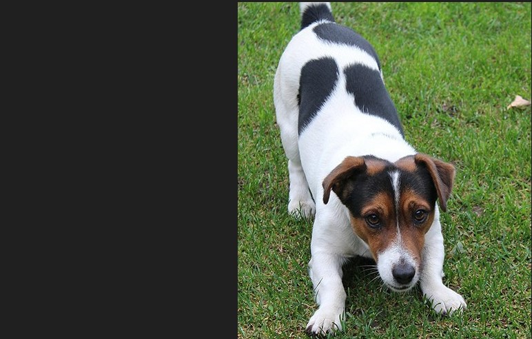 Unde merge tineretul nostru?