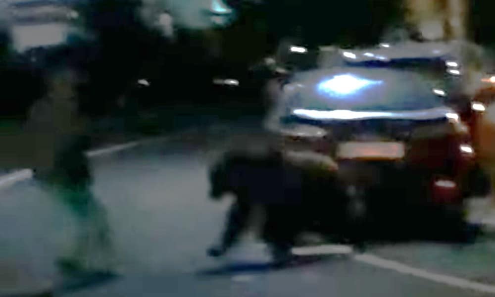 Un urs, invitat nepoftit la o nuntă