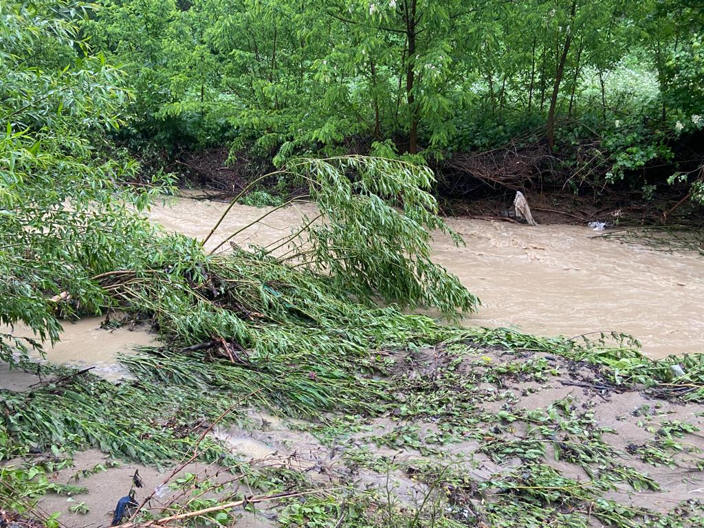Cod roşu în Bucureşci