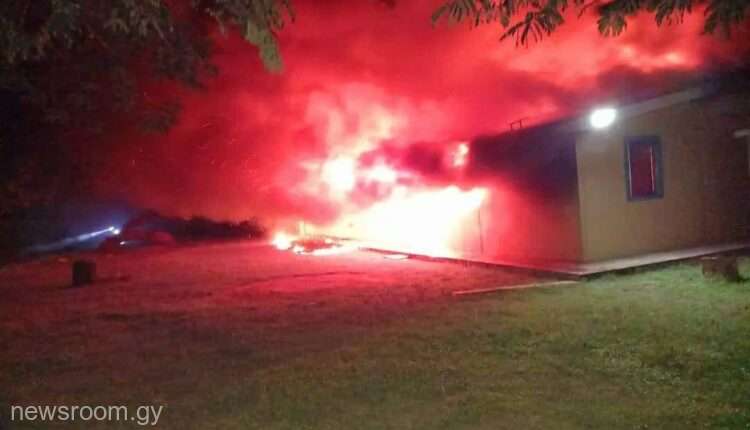 Răzbunarea care a șocat lumea