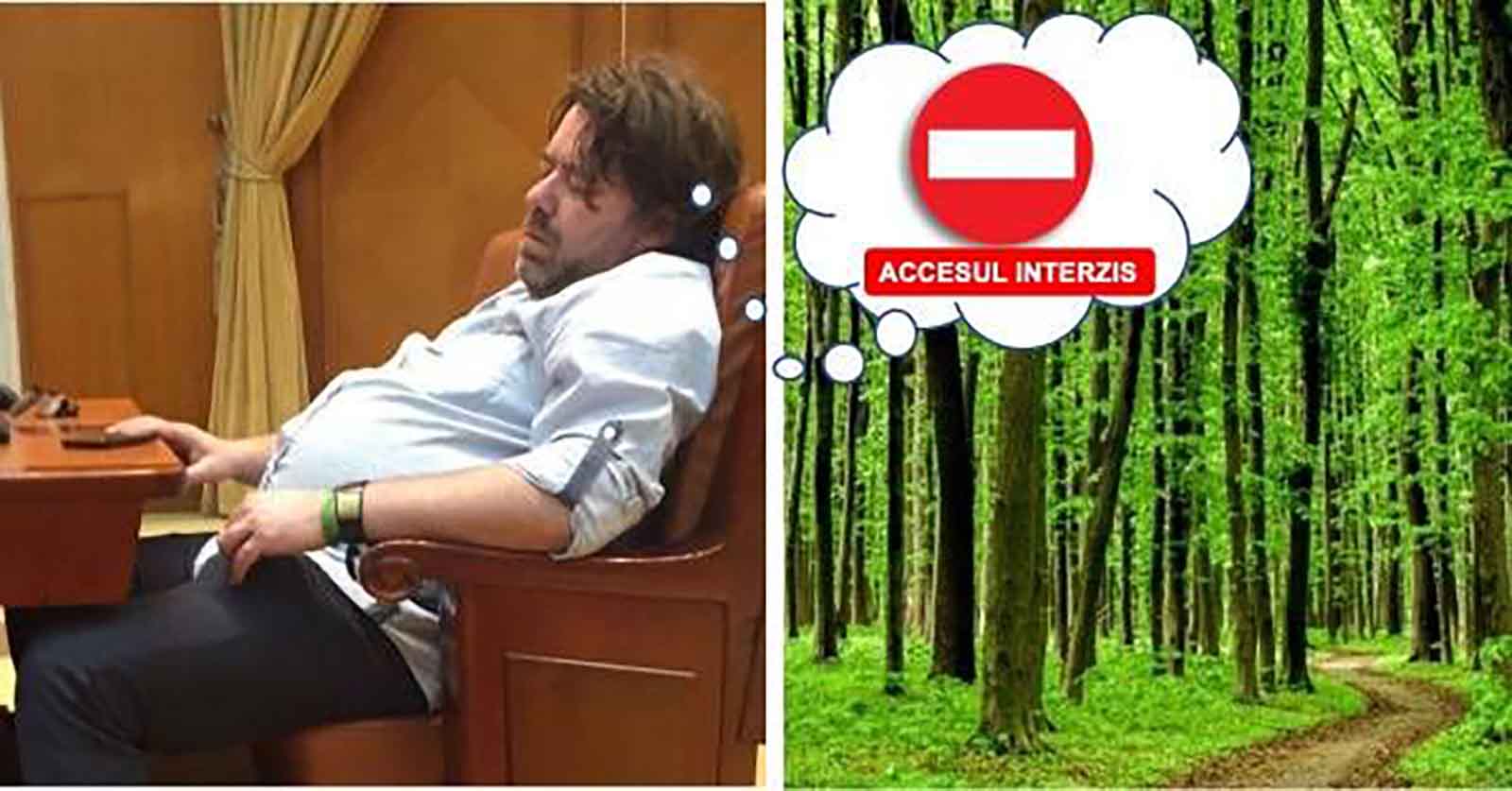 Atentatul de la Râul Alb (XXIV)-Trambulina USR-istului Goţiu la fotoliul din Senat