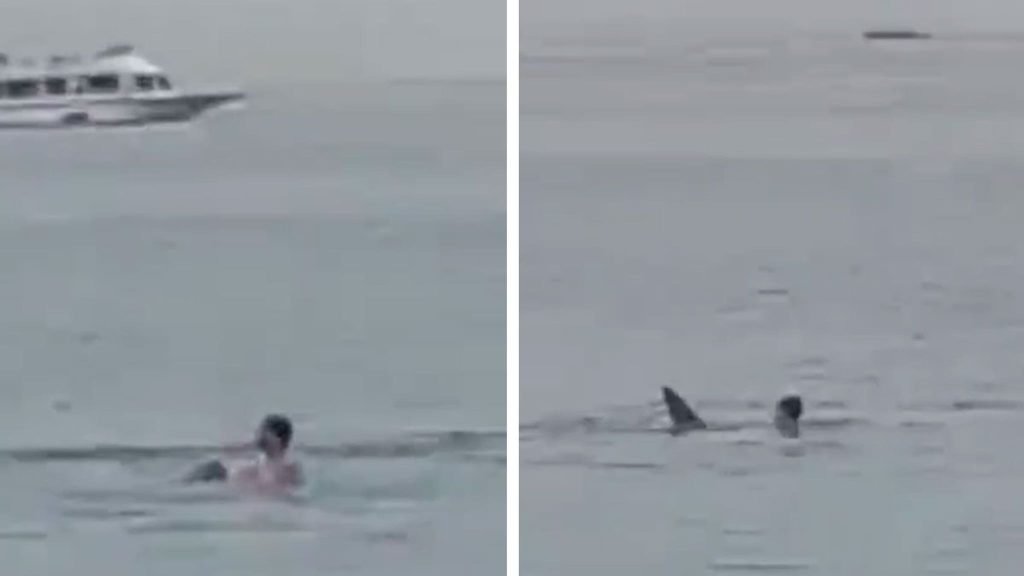 Rechinul care a sfârtecat un cetățean rus, expus în muzeu