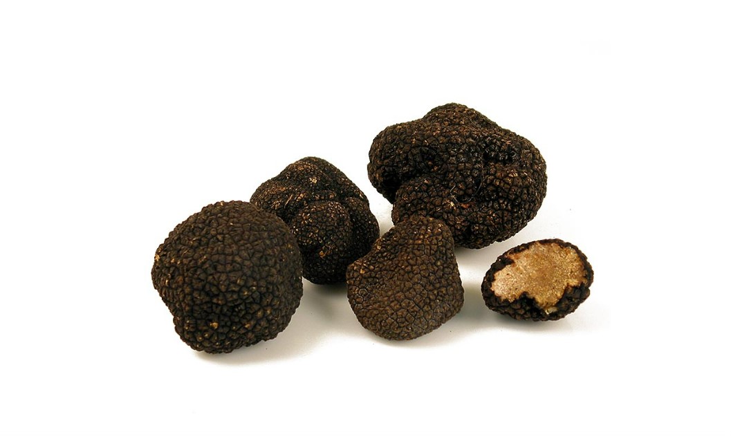 Prins la recoltat ilegal de trufe negre