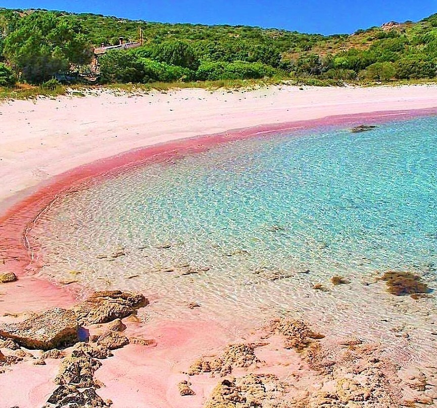 Restricții pentru turiști pe o insulă italiană