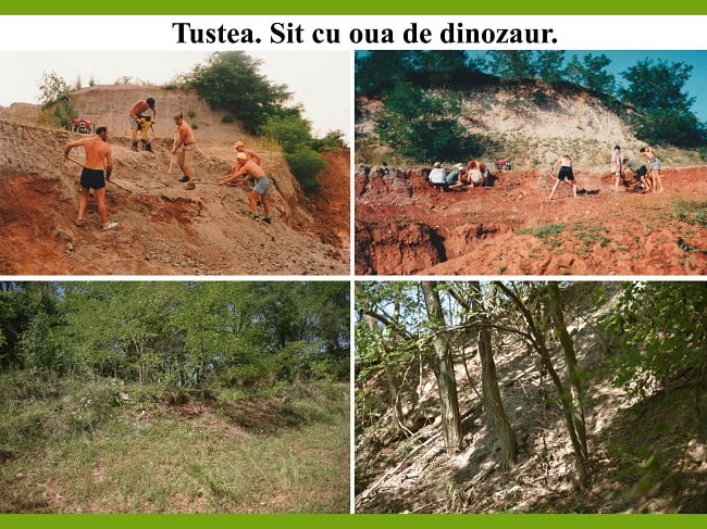 Patrimoniul geologic al României: între necunoaștere și ignorare