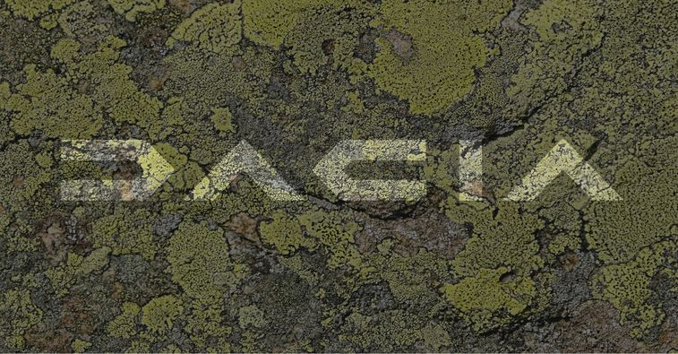 Dacia ar pregăti concedieri masive