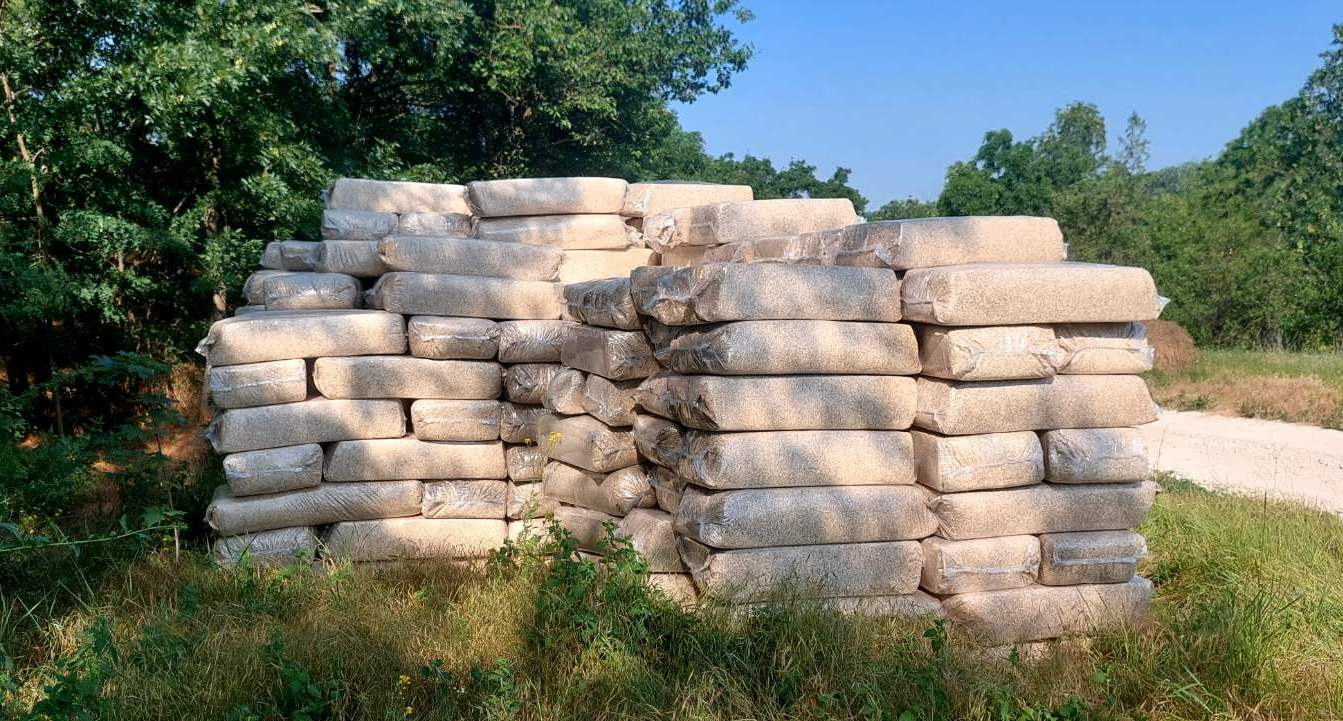 Cânepă în Republica Moldova. La ce va fi folosită