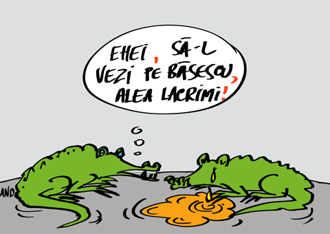D’ale crocodililor