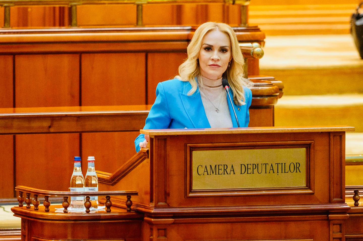Gabriela Firea: Sunt vinovată că exist?