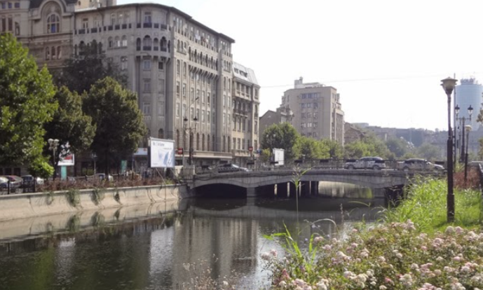 Propunerea lui Andrei Șerban: Să poarte numele lui Liviu Ciulei