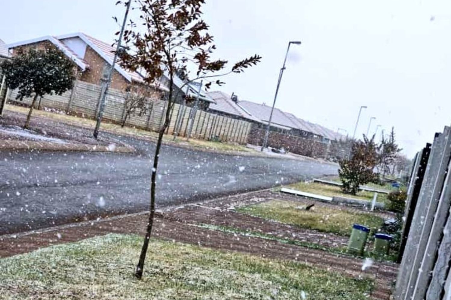 Fenomen meteorologic rar: Prima zăpadă după 11 ani