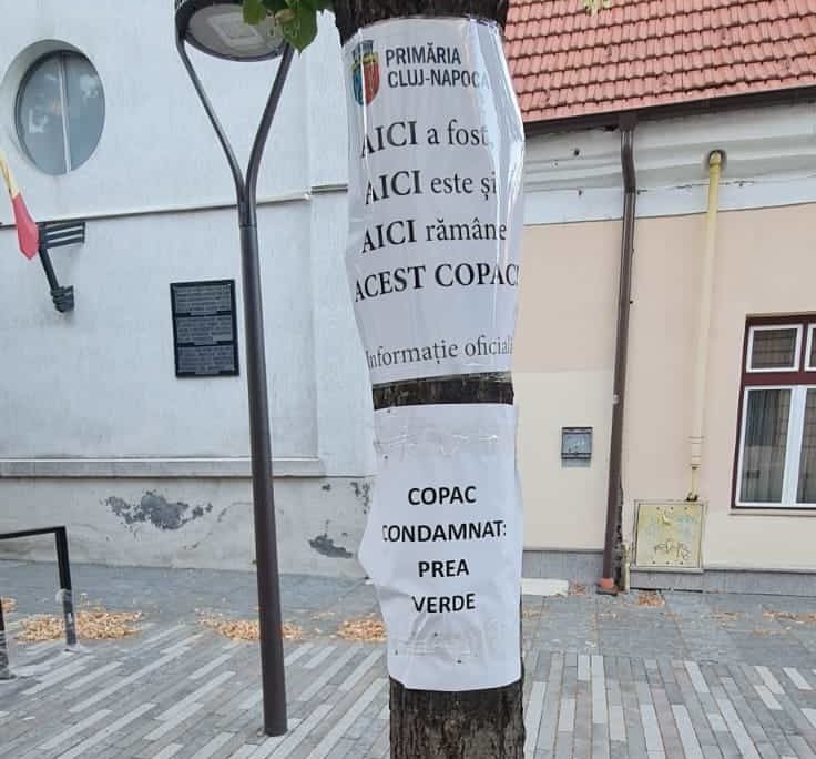 Clujenii fac de ”pază” la copaci