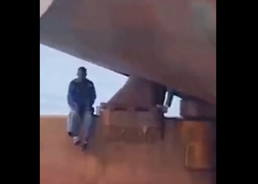 (VIDEO) Imagini ca-n filme – pasageri clandestini pe Atlantic