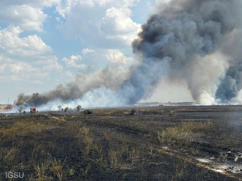 Incendiu puternic de vegetație în Bragadiru