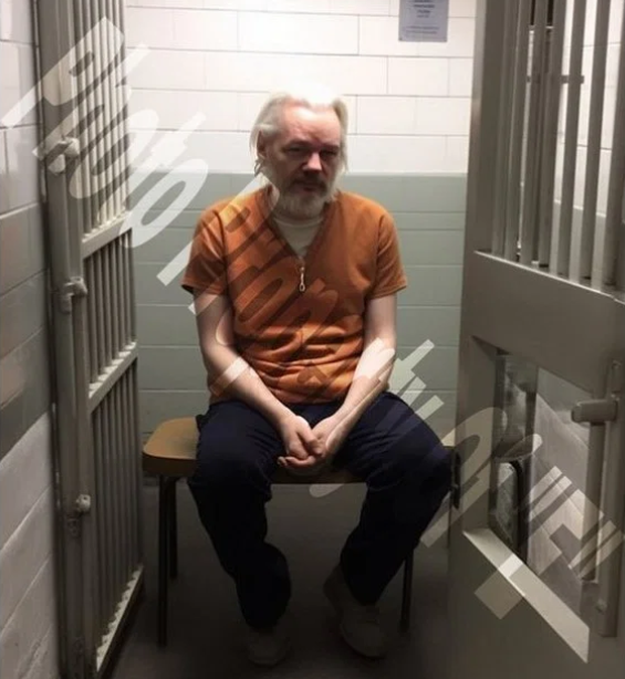 Un premier sare în apărarea lui Julian Assange. „Deja e prea mult”