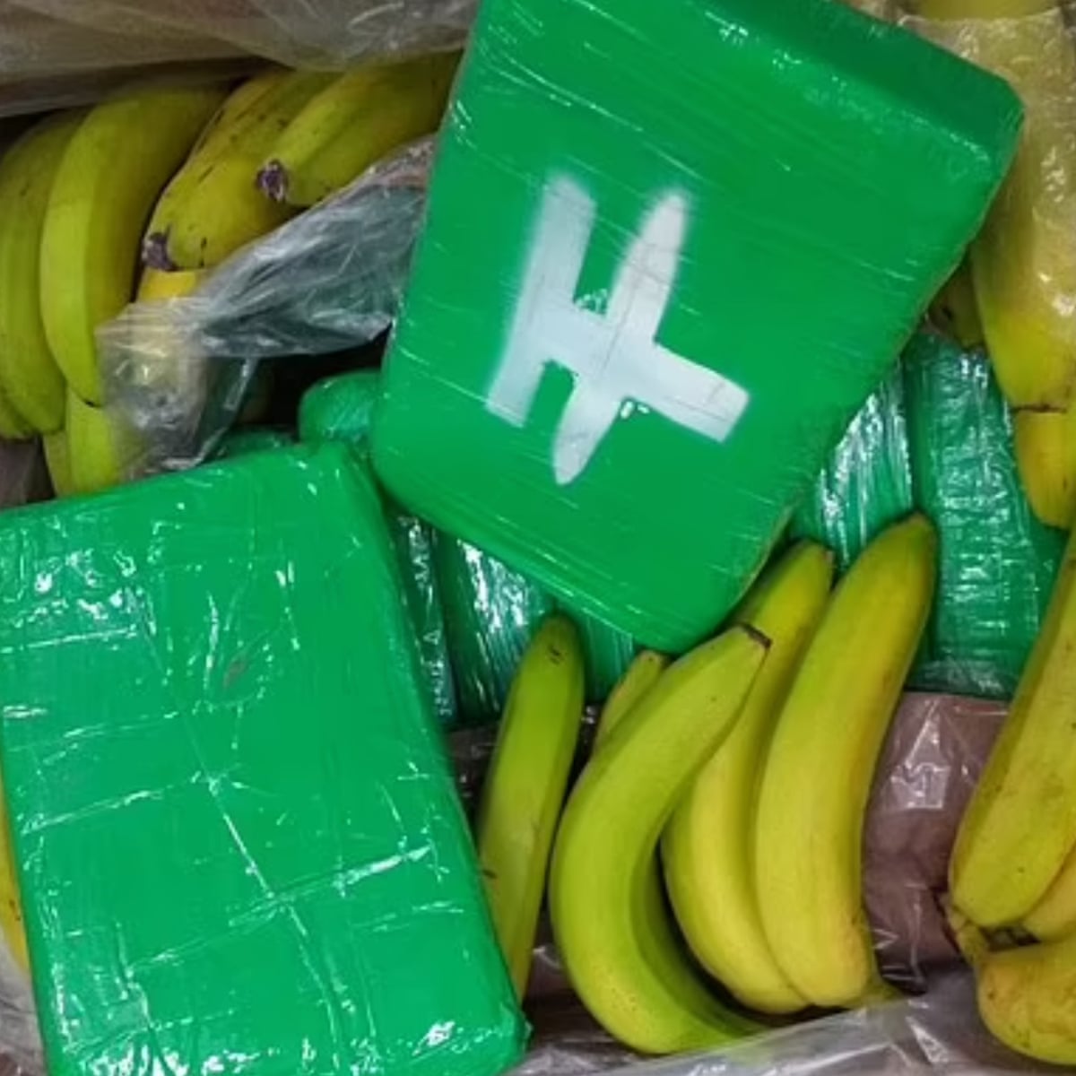 Captură record de droguri într-un transport de banane