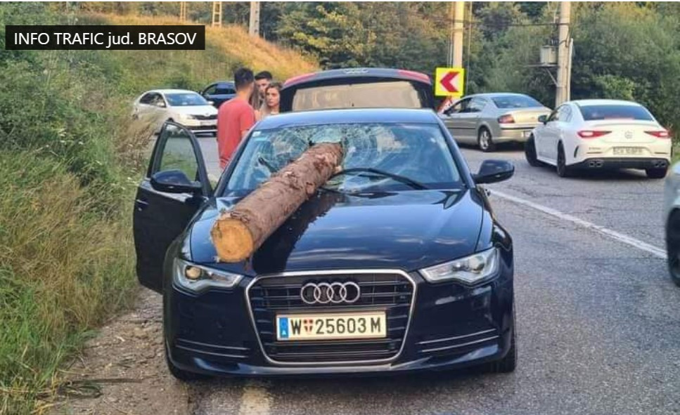 Protejați de o stea norocoasă