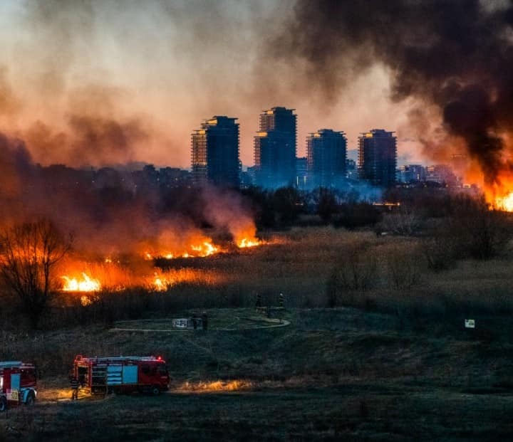 (FOTO) Flăcări uriașe în Delta Văcărești