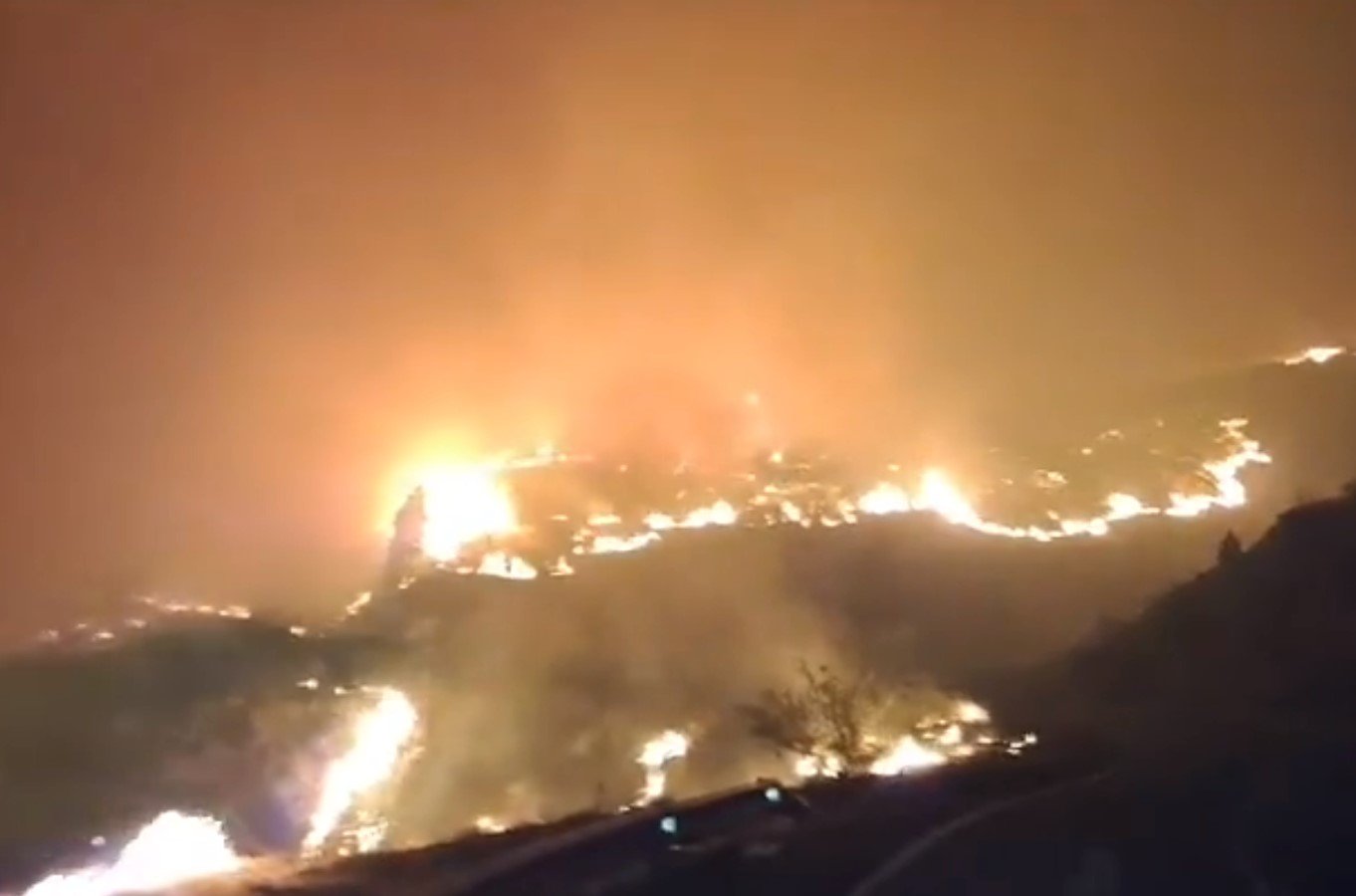 Firma din Crevedia, nereguli din 2020. Instituțiile fuseseră informate