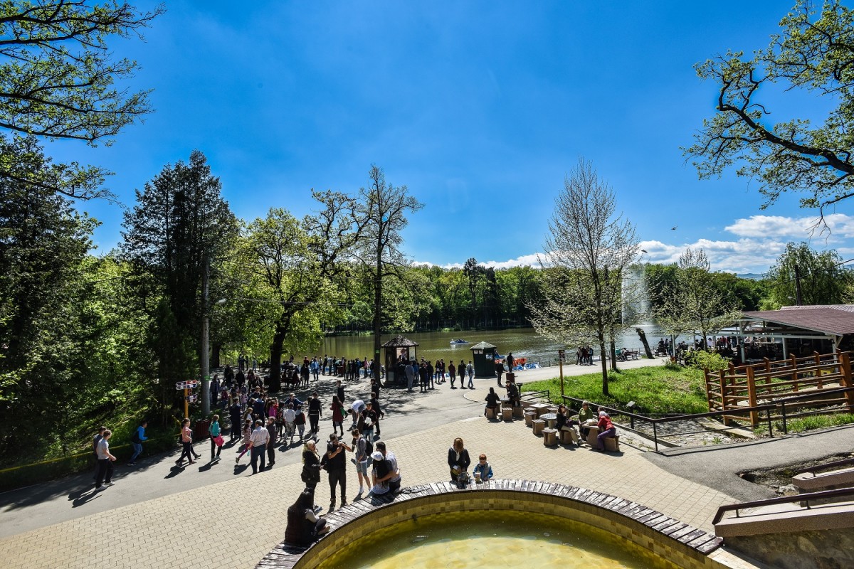 Fetiță în vârstă de 8 ani, mușcată de un lup la Grădina Zoologică