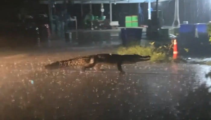 Pericol pe străzile unui oraş din China: Alerta s-a dat după inundații