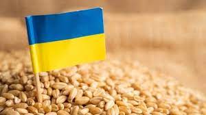 „Nu ne vom deschide graniţele pentru cerealele ucrainene!”. Kievul amenință cu arbitrajul