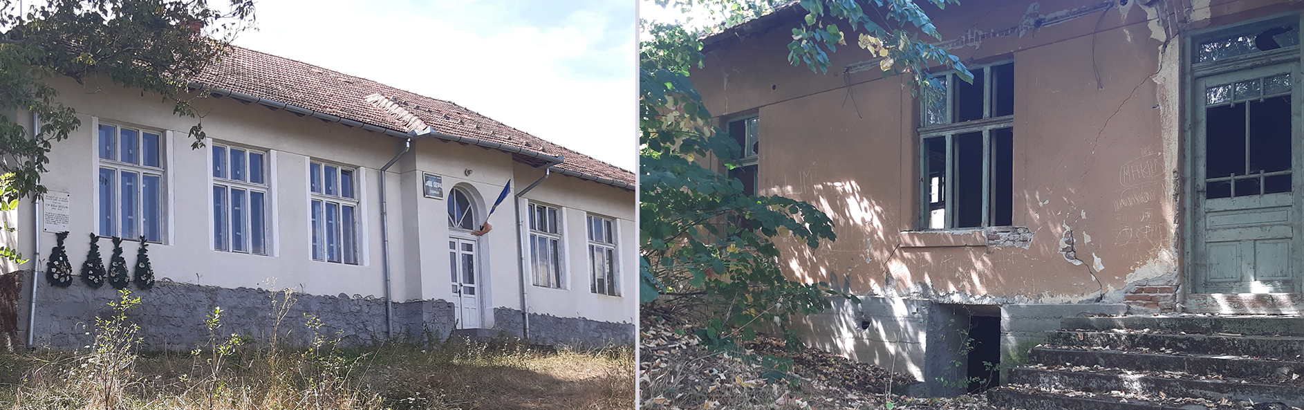 ŢIGANIADA. Rea prăsilă ţara stăpâneşte