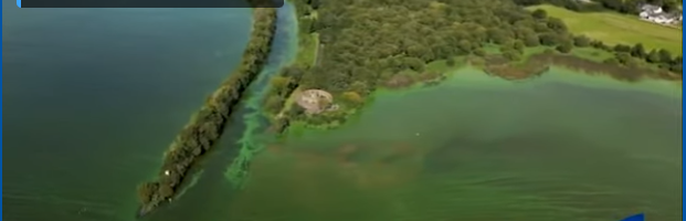 Cel mai mare lac de apă dulce din Marea Britanie și Irlanda, otrăvit