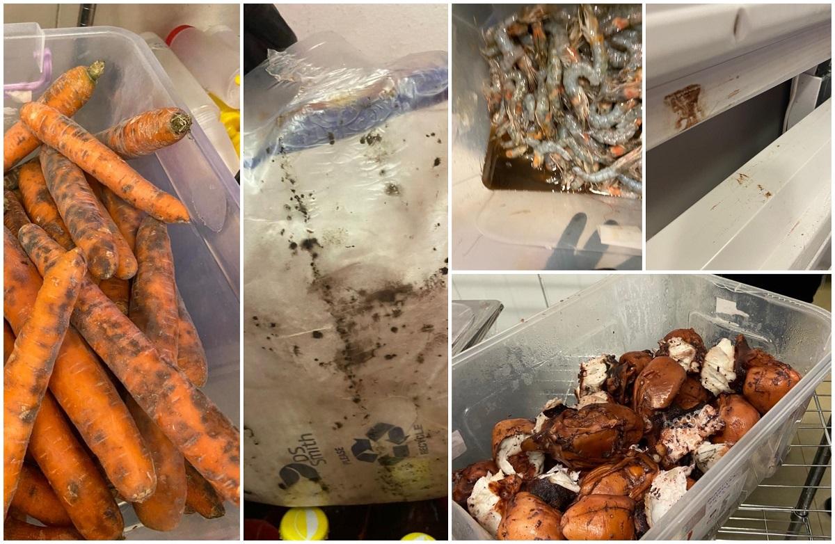 Pescobar, mare, mare panglicar! Priviți