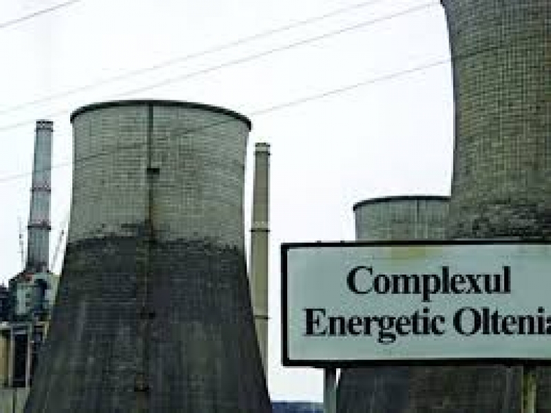 Mușamalizare. Documente care ascund mijloacele de transport ale morții