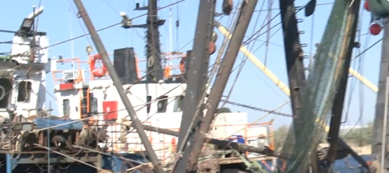 Fiscul le-a golit conturile. Pescuitul nu mai merge din cauza războiului