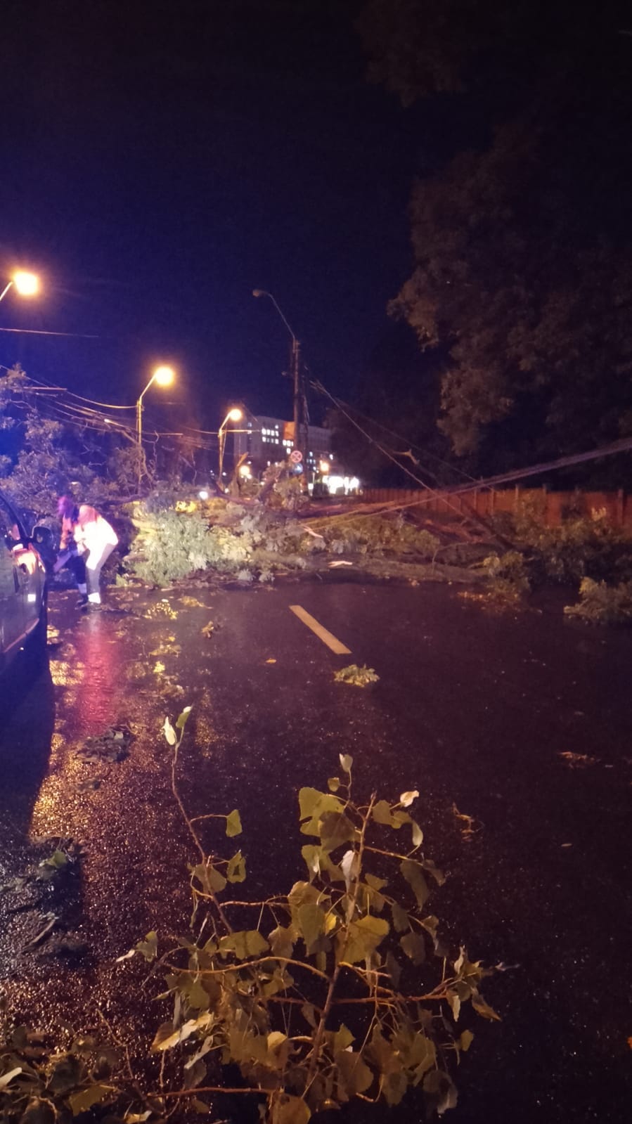 Prăpăd în Galați. Copaci doborâți de vânt, stâlpi de tensiune puși la pământ