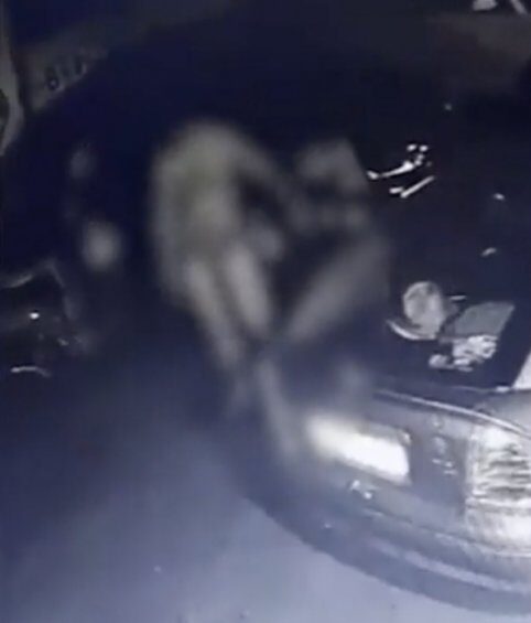 Tânărul mort după intervenția poliției. Camerele agenţilor ar fi fost oprite