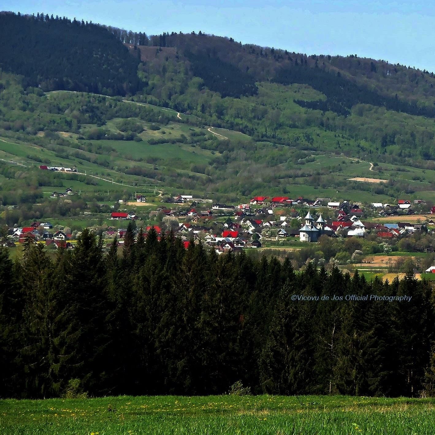 Bucovina curată