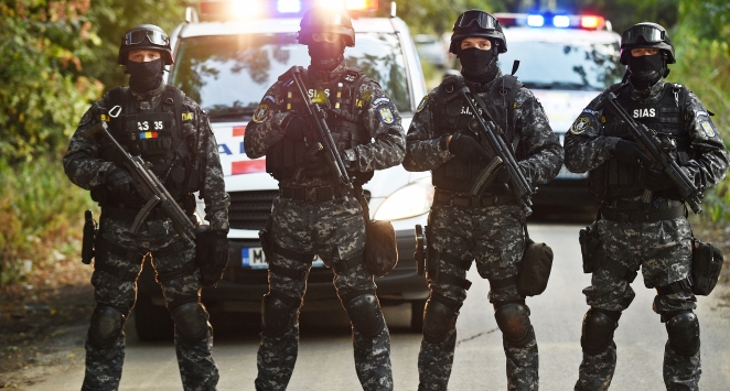 Mascat strivit într-un accident rutier