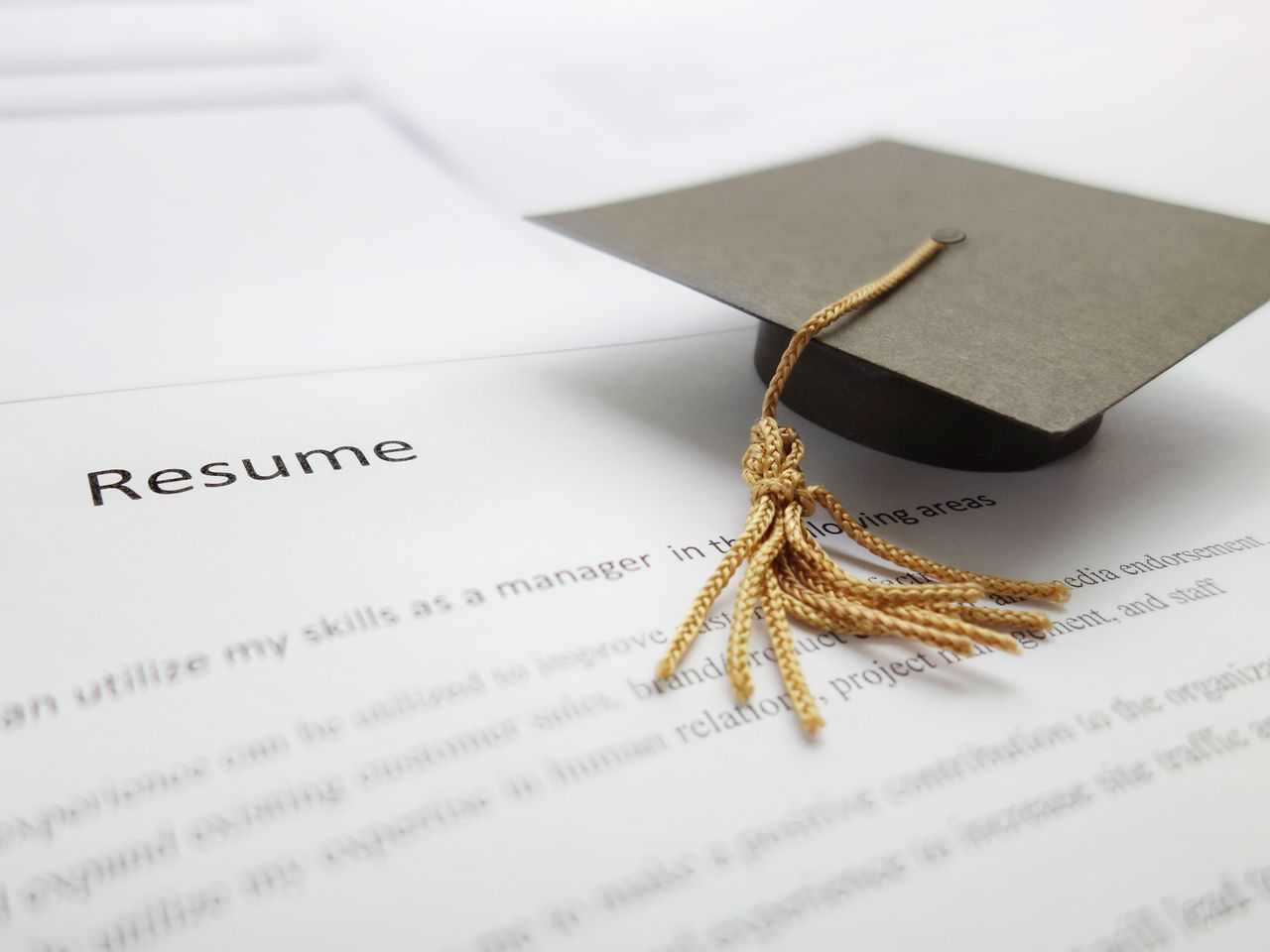 Atac la universitate: Harvard – instituție de reeducare