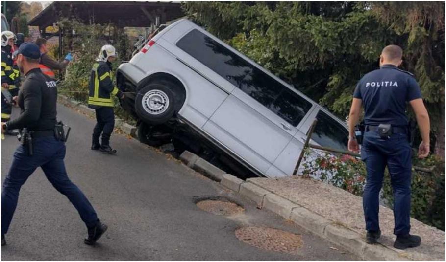 Moartea stupidă a doamnei profesoare Rocsana