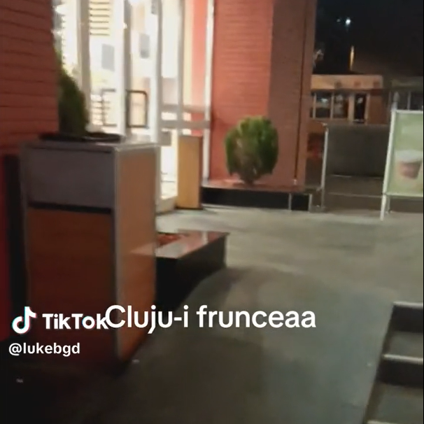 Șobolan filmat la McDonald’s. Se plimba nestingherit