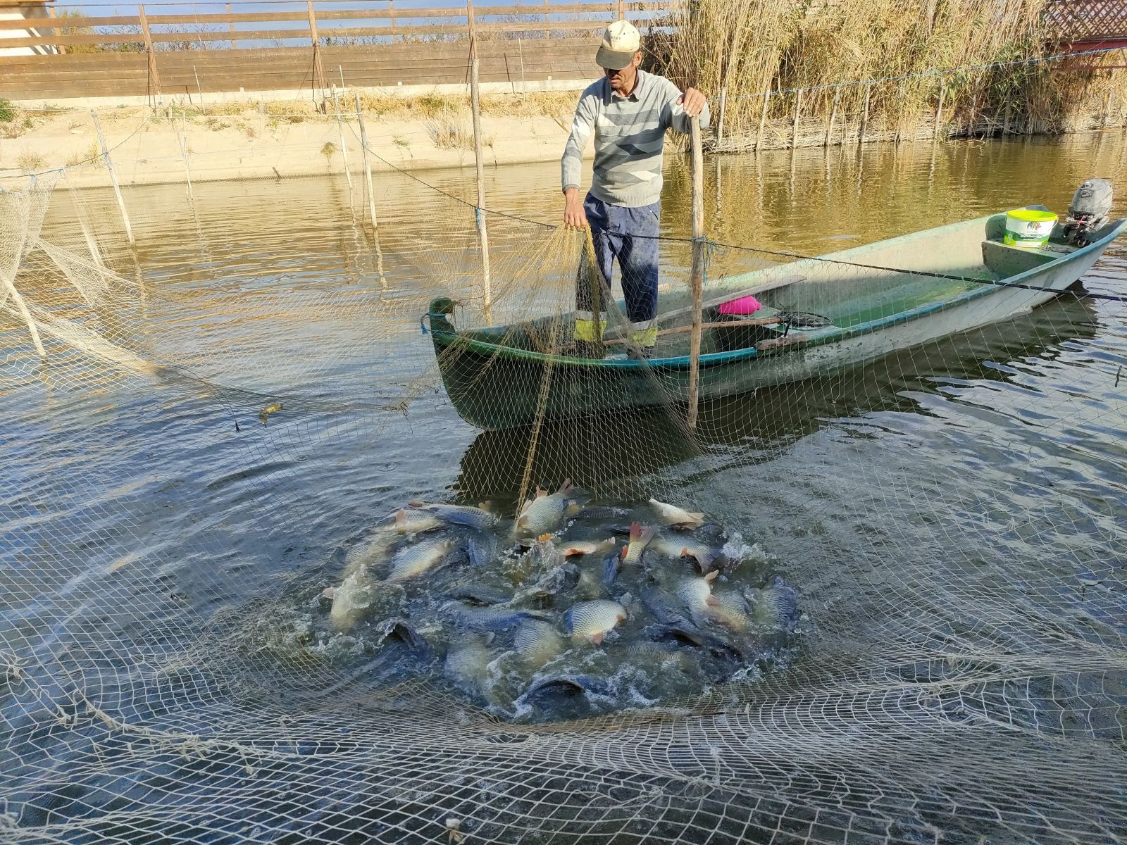 Jale în Delta Dunării: 70 la sută vor falimenta